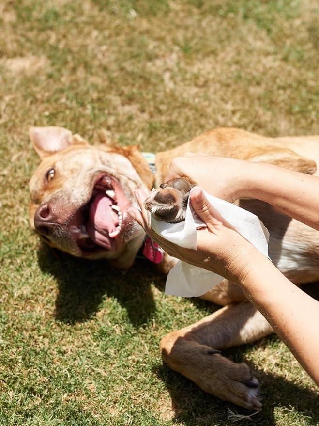 Dog All Purpose + Skin & Coat Pet WiPees™ – 100 All Natural Cleaning & Moisturizing Dog Wipes for Paws, Folds & Fur, Dog Lotion Alternative, Daily Pet Wipes for Skin & Coat Health (Natural, 100ct)