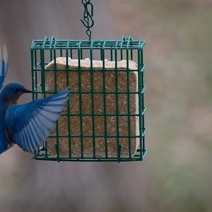 C&S Berry Delight No Melt Suet Dough 11.75 Ounces, 12 Pack