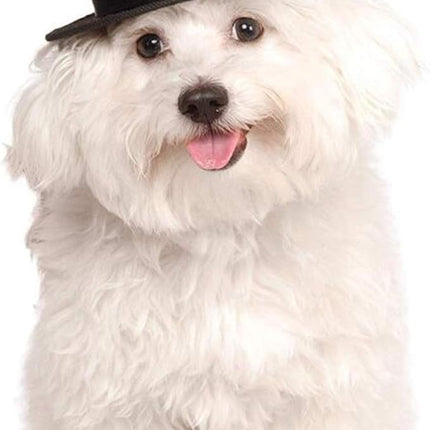 HUYADAPI Pet Bow Tie Adjustable Formal Collar Neck Tie and Costume Company Top Hat for Cats Dogs Puppy Pets, 2 Pieces