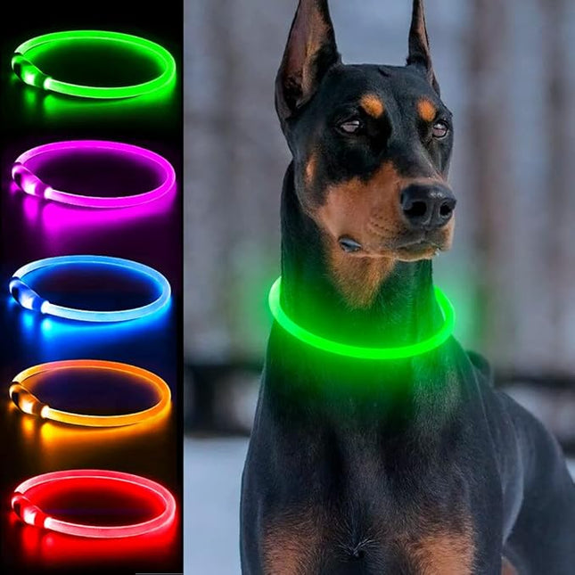 Light Up Dog Collar, Dlitk Rechargeable Cuttable LED Dog Collars, Pet Safety Light at Night Walking for Small Medium Large Dogs, Do Not Use Fast Charging (Green)