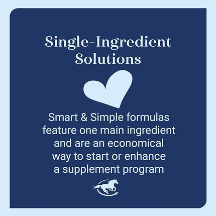 SmartEquine Smart & Simple Magnesium Horse Supplement | Supports Metabolism and Muscle Function | 154 Servings | 3 lb