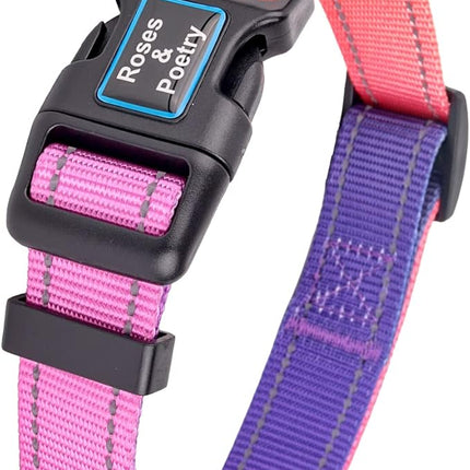 Roses&Poetry Reflective Small Dog Collar and Leash Set, Puppy Personalized Boy and Girl Collar with Leash, Adjustable Nylon Durable Pet Matching Collars Leashes for Small Puppies（Mistyrose-S