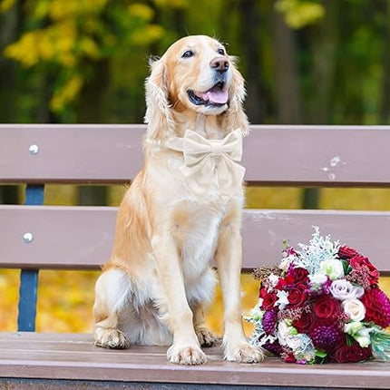 Lionet Paws Bowtie Dog Collar - Comfortable Silk Dog Collar with Detachable Bow Tie for Small Dogs, Neck 10-16 Inches