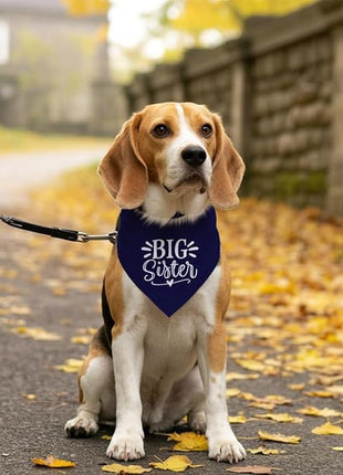 Big Sister Dog Bandanas, Dark Blue Dog Bandana, Pet Triangle Scarf Accessories, Pet Bandanas for Small Medium Large Dogs, Baby Announcement Dogs Bandana (M)
