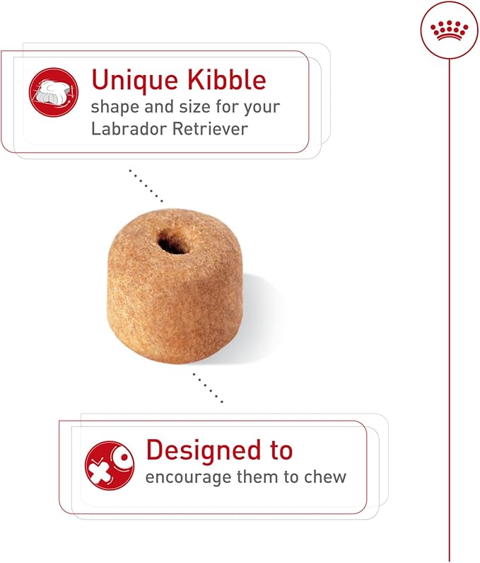 Royal Canin Breed Health Nutrition Labrador Retriever Adult Dry Dog Food, 17 lb Bag