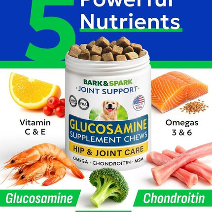 Glucosamine Chondroitin Dog Hip & Joint Supplement - Joint Pain Relief - Hip & Joint Chews for Dogs - Joint Support Large Breed - Senior Doggie Vitamin Pills Joint Health (240 Treats - Peanut Butter)