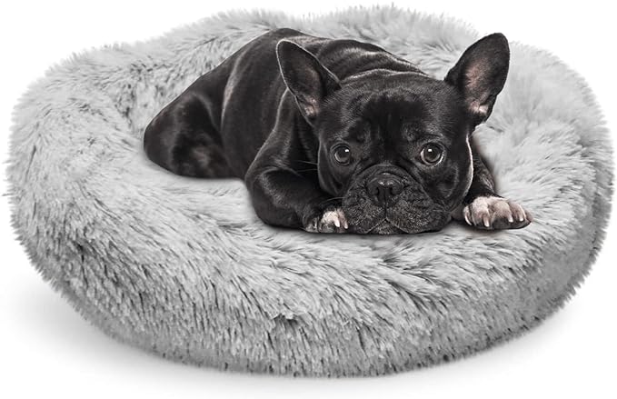 Whiskers & Friends Cat Bed Dog, Cat Beds for Indoor Cats Washable, Orthopedic Soft Fluffy Round Calming Pet Bed for Small to Large Kitty Kittens & Dogs, Small Dog Beds & Furniture