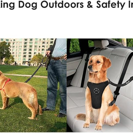 Lukovee Dog Car Seat Belt, 2 Pack Headrest Restraint Seatbelt, Adjustable Pet Safety Leads with Reflective Elastic Bungee for Dog Harness Collar Travel Daily Use (Black,Headrest)