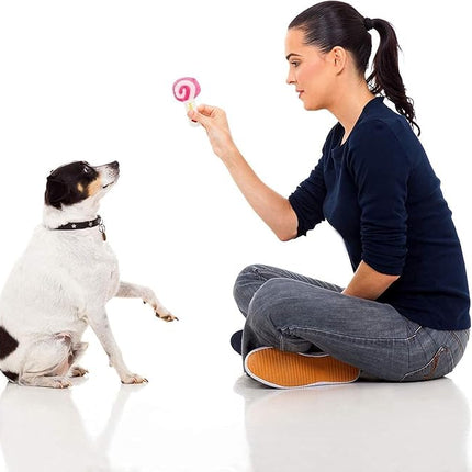 LEGEND SANDY Dog Toys for Aggressive Chewers, Large Dog Toys to Keep Them Busy, Interactive Squeaky Pet Toys, Tug of War, Crinkle Blue Shark (14P)