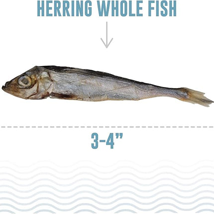 Icelandic+ Whole Fish Herring - 9oz Bag - Dog Treats, Pure Wild-Caught & Air-Dried, Single Ingredient Snack, Pet Chew, Just The Fish Nothing Else