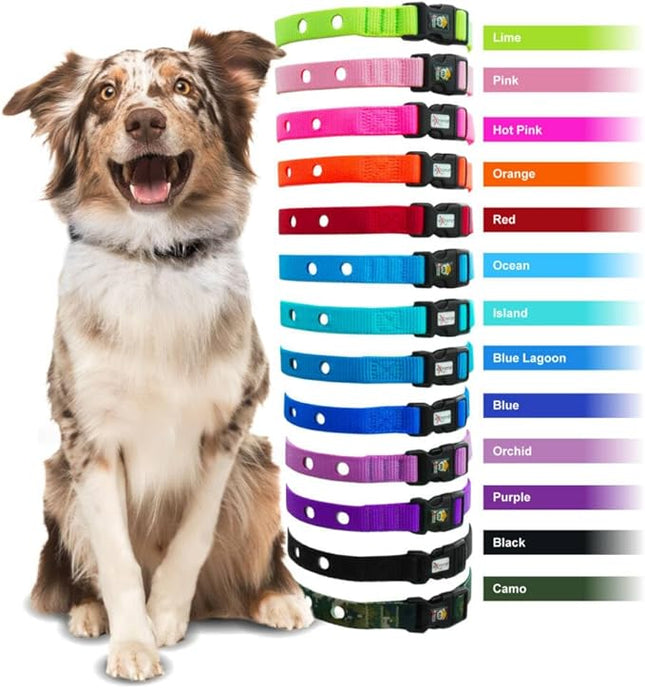 Extreme Dog Fence Dog Collar Replacement Strap - Purple - Compatible with Nearly All Brands and Models of Underground Dog Fences
