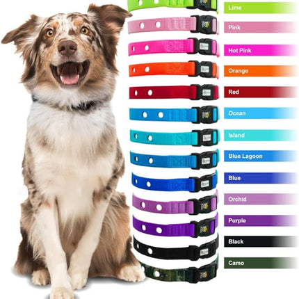 Extreme Dog Fence Dog Collar Replacement Strap - Bright Orange - Compatible with Nearly All Brands and Models of Underground Dog Fences