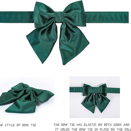 Lionet Paws Bowtie Dog Collar - Comfortable Silk Dog Collar with Detachable Bow Tie for Medium Dogs, Neck 13.5-22 Inches