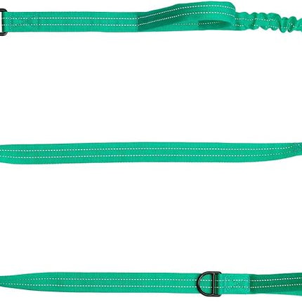 ICEFANG Tactical Dog Leash,K9 Training Walking Bungee Lead with 2 Control Handle,Heavy Duty Quick Release Metal Clasp,for Medium Large Breed (Teal, 6 FT)