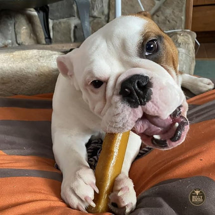 Bully Bunches Medium Authentic Yak Cheese Himalayan Chews for Medium & Small Dogs - All Natural Dog Treat Dental Chews, Made with Real Yak Milk - Lactose & Rawhide Free (6 Pk)