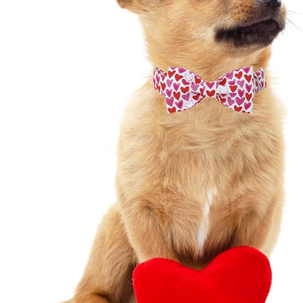 Lionet Paws Valentine's White Dog Collar, Cute Heart Dog Collar for Small Dogs, Adjustable Cotton Pet Puppy Collars for Small Dogs