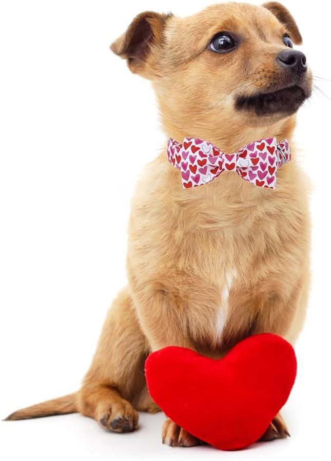 Lionet Paws Valentine's White Dog Collar, Cute Heart Dog Collar for Small Dogs, Adjustable Cotton Pet Puppy Collars for Small Dogs