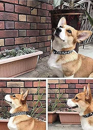 Roses&Poetry Dog Collar with Colourful Star Patterns, Adjustable Durable Puppy Collars for Small Medium Large Dogs (Star-S)