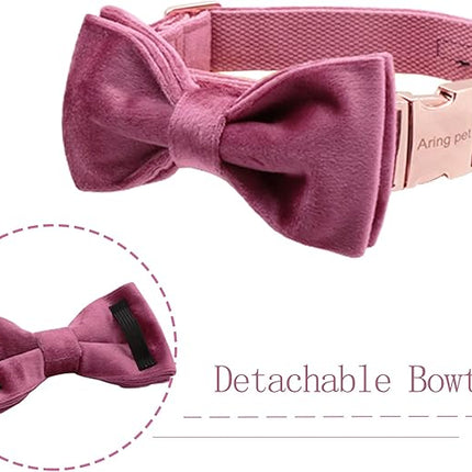ARING PET Bowtie Dog Collar-Velvet Dog Collars with Removable Bowtie, Cute & Comfortable Dog Collar.