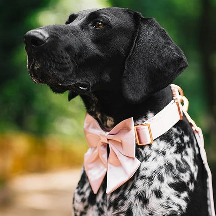 Lionet Paws Bowtie Dog Collar - Comfortable Silk Dog Collar with Detachable Bow Tie for XLarge Dogs, Neck 16-26 Inches
