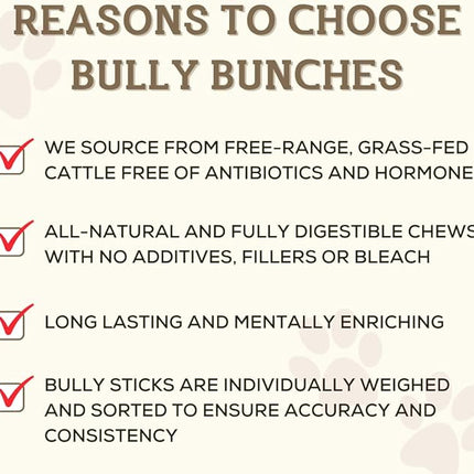 Bully Bunches Premium 6 Inch Thick Odor-Free Bully Sticks for Small & Medium Dogs - Long Lasting Chews for Oral Care- All Natural & Single Ingredient, 100% Beef Dog Treat, Rawhide Free (10 Pk)