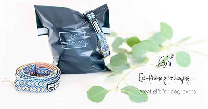 Lucky Love Dog Collars, Comfortable, Soft, Cute Dog Collar for Small Medium Large Dogs, Murphy, Large