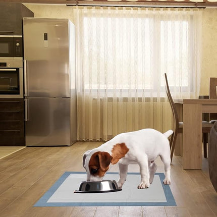 BV Puppy Pads XL 20 Count 28"x34" - Leak-Proof Pee Pads for Dogs with 6-Layer Design, Rapid Dry Sheet & Attractant - Dog Pad Extra Large with Odor Control - Perfect for Big Dogs & Indoor Use