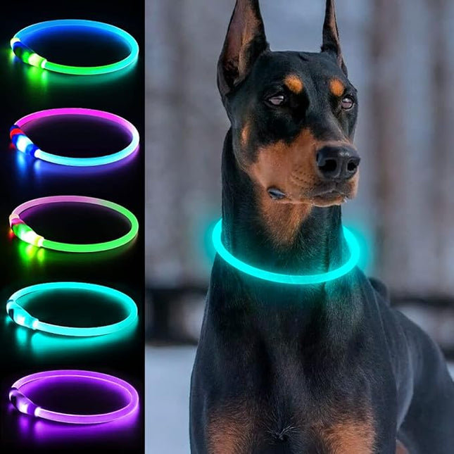 Light Up Dog Collars, USB Rechargeable Dlitk LED Dog Collar 1 Count, TPU Cuttable Size Glow Collar for Dogs, Dog Collar Light, Please Do Not Use Fast Charging (Cyan)