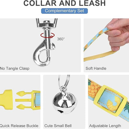 EXPAWLORER Small Dog Harness and Leash Set - Cute Puppy Harness Leash Dog Collar with AirTag Holder Silicone Case, Soft Padded Step in Pet Vest Reflective for Outdoor Walking, Pineapple XXS