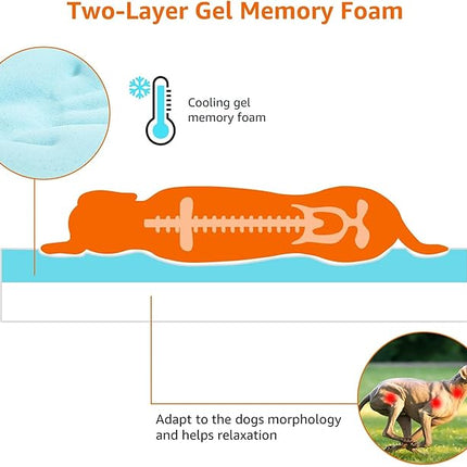 Amazon Basics Dog Bed with Cooling Gel Memory Foam, Pressure-Relief Support for Dogs up to 50lbs, Non-Slip Bottom, Machine Washable Cover, Large Sized (35" x 22"), Grey