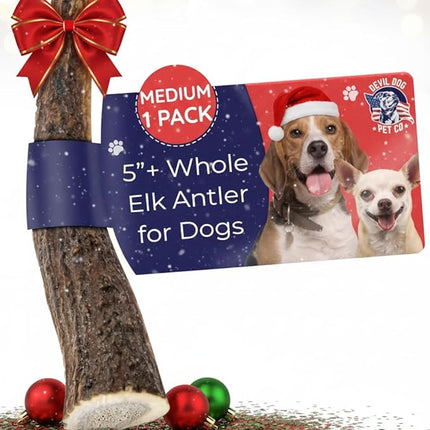 Devil Dog Pet Co. Elk Antlers for Dogs, Medium 5"+, 1 Pack, Grade A Long Lasting Chew for Aggressive Chewers, Premium USA Naturally Shed Antler – Healthy, No Odor, Durable Dog Chew