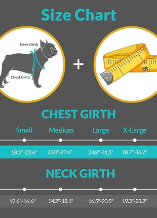 Queenmore XS Dog Life Jacket,Dog Life Vest for Swimming,Dog Floating Vest for Boating,Pet Puppy Lightweight Adjustable Reflective Lifesaver Vest with Back Zip,Rescue Handle,Leash Hook(Fuchsia XS)