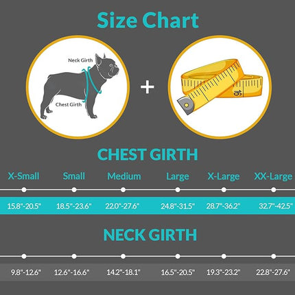 Queenmore Dog Life Jacket, XL Dog Life Vest,High Floating Pet Life Vest for Swimming,Lightweight Adjustable Puppy Life Preserver for Boating,Dog Water Vest with Back Zip,Rescue Handle,Hook (Blue XL)