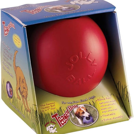 Jolly Pets Teaser Ball Dog Toy, Medium/6 Inches, Blue, Jolly Pets 6-Inch Teaser Ball, Blue