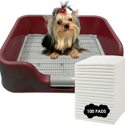PS KOREA] Indoor Dog Potty Tray – with Protection Wall Every Side for No Leak, Spill, Accident - Keep Paws Dry and Floors Clean (Wine) + Pee PAD 100 PCS