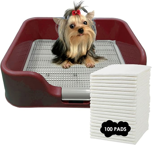 PS KOREA] Indoor Dog Potty Tray – with Protection Wall Every Side for No Leak, Spill, Accident - Keep Paws Dry and Floors Clean (Wine) + Pee PAD 100 PCS