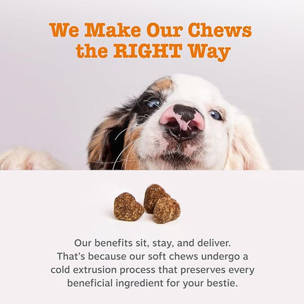 Zesty Paws Dog Allergy Relief Chews, Dog Probiotics for Itchy Skin and Ears, Peanut Butter, 90ct