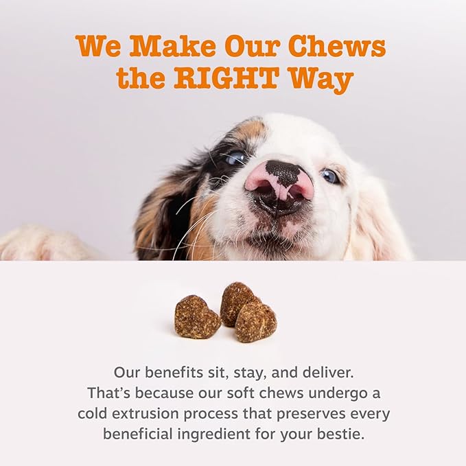 Zesty Paws Dog Allergy Relief Chews, Dog Probiotics for Itchy Skin and Ears, Lamb, 50ct