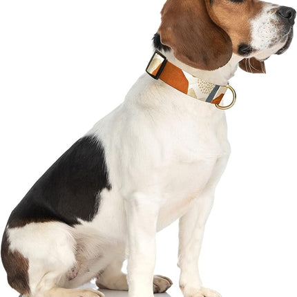 Rnivvi Dog Collar for Medium Dogs, Cute Heavy Duty Adjustable Puppy Collar with Quick Release Buckle for Boy Girl & Female, Pet Accessories for Walking Running, M Length 1" Width, Abstract Art