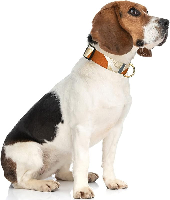 Rnivvi Dog Collar for Medium Dogs, Cute Heavy Duty Adjustable Puppy Collar with Quick Release Buckle for Boy Girl & Female, Pet Accessories for Walking Running, M Length 1" Width, Abstract Art