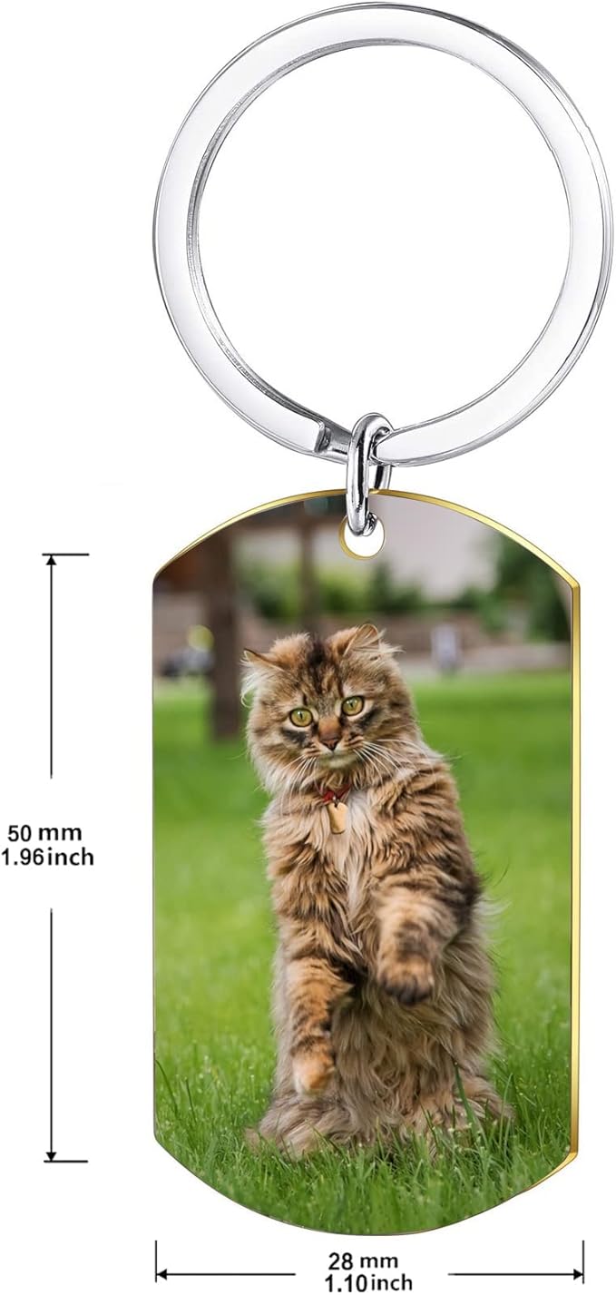 Funnylife Personalized Pet Memorial Keychain for Cats Stainless Steel Custom Cat Photo Keychain Pet Memory Keepsake Loss of Cat Sympathy Gifts