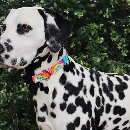 Limeloot Tie Dye Dog Collar for Female and Male Dogs, Small