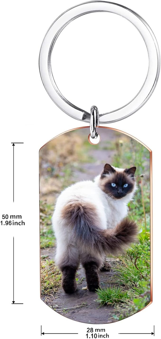 Funnylife Personalized Pet Memorial Keychain for Cats Stainless Steel Custom Pet Photo Memory Keepsake Loss of Cat Sympathy Gifts Cat Pass Away Gifts
