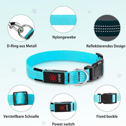 Light Up Dog Collar, USB Rechargeable LED Dog Collars Glow in The Dark, 3 Flash Mode Safety Collar Light for Nighttime Walking (Blue, L)