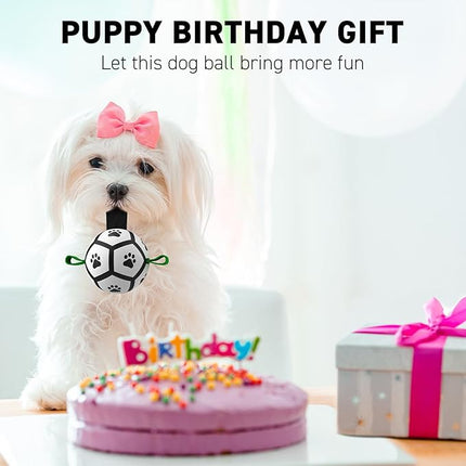 QDAN Small Dog Toys, Puppy Balls, Dog Balls with Straps for Small Breed, Soccer Ball for Dogs, Puppy Toys, Dog Birthday Gift (Black Green, 3.5 inch)