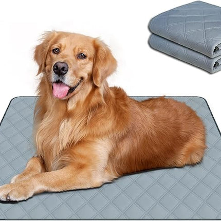 RIOUSSI Washable Pee Pads for Dogs, Reusable, Absorbent, Leakproof, Non Slip Pet Puppy Pads for Potty Training. Light Gray, 20x28 Inch(2pack)