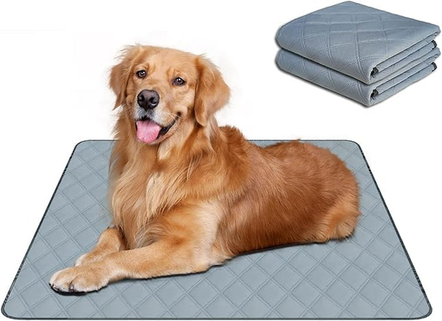 RIOUSSI Washable Pee Pads for Dogs, Reusable, Absorbent, Leakproof, Non Slip Pet Puppy Pads for Potty Training. Light Gray, 20x28 Inch(2pack)