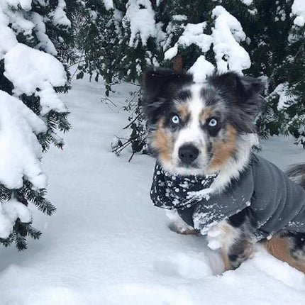 Gooby Stretch Fleece Vest Dog Sweater - Gray, X-Small - Warm Pullover Super Stretchy Fleece Dog Jacket for Small to Large Dogs