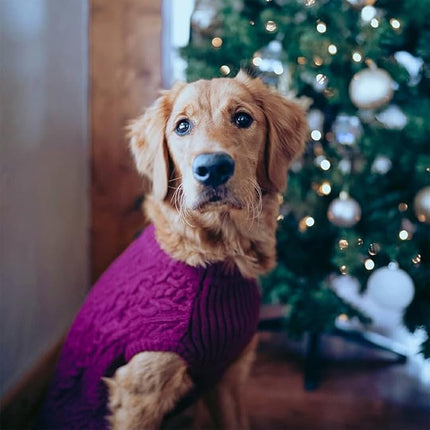 Blueberry Pet Classic Fuzzy Textured Knit Pullover Turtle-Neck Dog Sweater in Dark Olive - Award-Winning Christmas Sweater for Small Dogs 10"