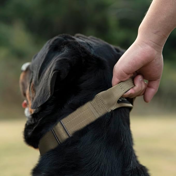 TSPRO Premium Dog Collars Tactical Dog Collar with Handle and Heavy Duty Quick-Release Metal Buckle Durable Thick and Adjustable for Medium to Large Dogs (Camo Pink L)